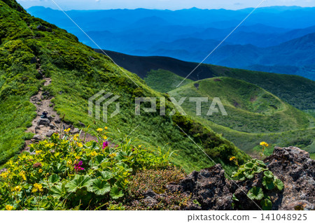 The hiking trails of Mount Akita-Komagatake are adorned with alpine plants in early summer. The hiking trails of Mount Akita-Komagatake are adorned with alpine plants in early summer. 141048925