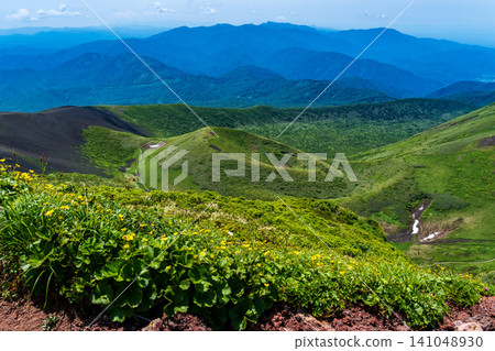 The hiking trails of Mount Akita-Komagatake are adorned with alpine plants in early summer. 141048930
