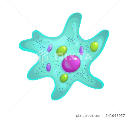 Ameba or bacteria bacillus microorganism and germ protozoa or protista cartoon icon. Amoeba of human microbiota with pathogen cells and microscopic protist microbiome of germ microbe or bacterium Ameba or bacteria bacillus microorganism and germ protozoa or protista cartoon icon. Amoeba of human microbiota with pathogen cells and microscopic protist microbiome of germ microbe or bacterium 141048957