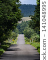 Summer country road 141048995