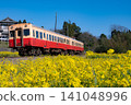 Rape blossoms and trains 141048996
