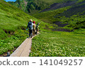 Moomin Valley on Mount Akita-Komagatake in early summer, where the dwarf mountain avens are in full bloom. 141049257