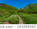 Moomin Valley on Mount Akita-Komagatake in early summer, where the dwarf mountain avens are in full bloom. 141049262