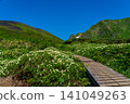 Moomin Valley on Mount Akita-Komagatake in early summer, where the dwarf mountain avens are in full bloom. 141049263