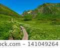 Moomin Valley on Mount Akita-Komagatake in early summer, where the dwarf mountain avens are in full bloom. 141049264