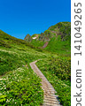 Moomin Valley on Mount Akita-Komagatake in early summer, where the dwarf mountain avens are in full bloom. 141049265