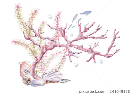 Watercolor illustration of corals, seaweed, and shells. Atmospheric marine design for branding, advertising, interiors, cafe menus, and themed websites. Watercolor illustration of corals, seaweed, and shells. Atmospheric marine design for branding, advertising, interiors, cafe menus, and themed websites. 141049338