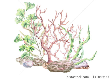 A watercolor illustration of underwater seaweed, coral, and rocks. A delicate floral composition for beach shops, spas, wedding stationery, invitations, and other themed designs. 141049354
