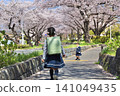 Elementary school students walking under the cherry blossoms 141049435