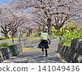 Elementary school students running along a row of cherry trees in full bloom. 141049436