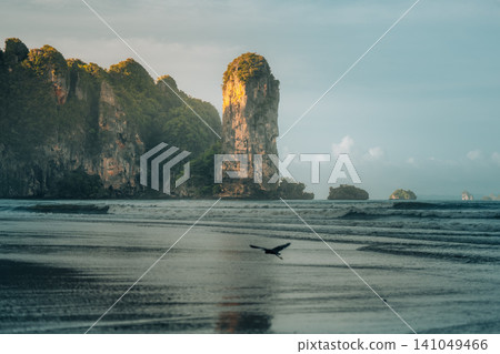 Title: Idyllic tropical white sand beach with a flying bird, towering limestone karst cliffs, 141049466