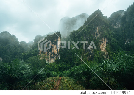 Dirt trail leading towards dramatic limestone karst mountains hidden in thick tropical mist. Dirt trail leading towards dramatic limestone karst mountains hidden in thick tropical mist. 141049935