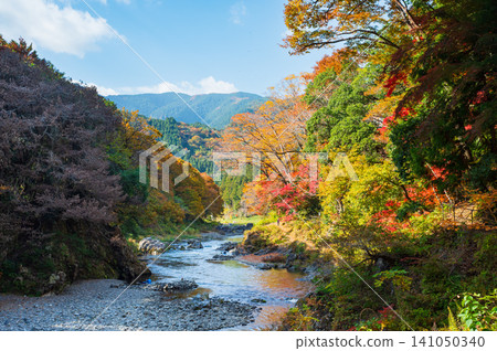 禦嶽谷的秋葉與藍天。 禦嶽谷的秋葉與藍天。 141050340
