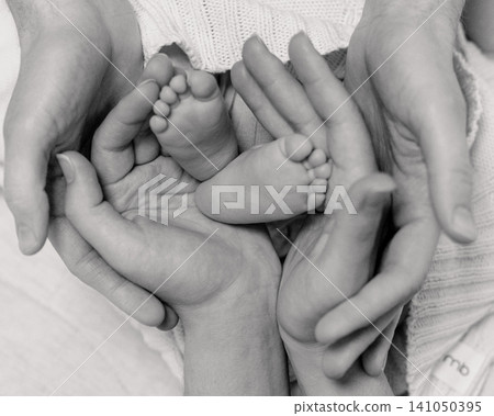 Black and white image of newborn baby feet in parents hands. Concept of family, care, unity and protection Black and white image of newborn baby feet in parents hands. Concept of family, care, unity and protection 141050395