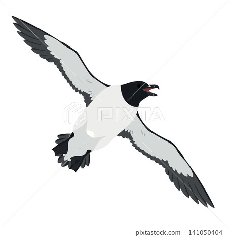 Vsai razorbill seabird flying with open beak Vsai razorbill seabird flying with open beak 141050404
