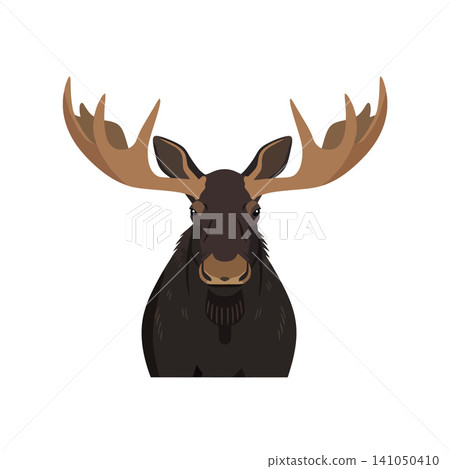 Vsai moose head with large antlers facing front 141050410