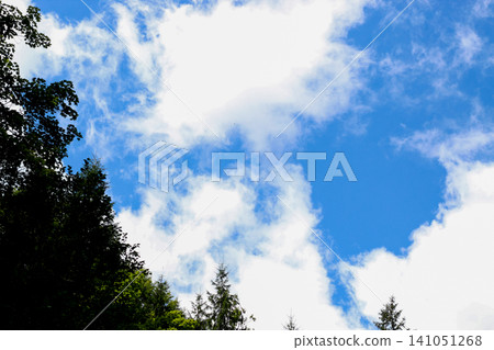 Bright blue sky with fluffy clouds and green tree tops in a serene natural setting Bright blue sky with fluffy clouds and green tree tops in a serene natural setting 141051268