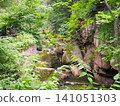 A sunny summer scene at Raikyo Gorge, Akiu, Taihaku Ward, Sendai City, Miyagi Prefecture 141051303