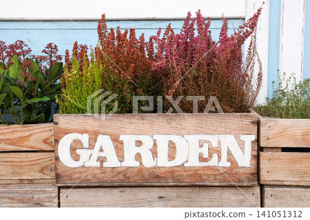 Colorful flowers and plants in a wooden garden box near a vintage house Colorful flowers and plants in a wooden garden box near a vintage house 141051312