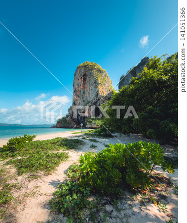 Tropical white sand beach with lush green coastal plants and towering limestone karst cliffs. Tropical white sand beach with lush green coastal plants and towering limestone karst cliffs. 141051366