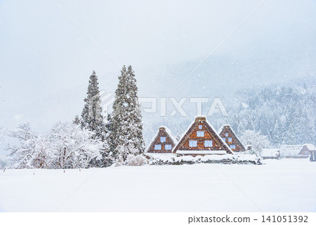 A winter scene in Shirakawa-go: Three gassho-zukuri style huts and three trees standing amidst a vast, snow-covered silver world. A winter scene in Shirakawa-go: Three gassho-zukuri style huts and three trees standing amidst a vast, snow-covered silver world. 141051392