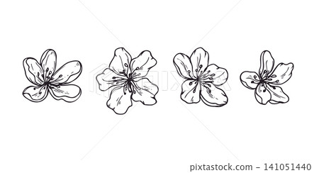 Set of hand drawn apple blossom flowers in engraving style. Delicate fruit tree petals graphic sketch illustration. Springtime floral botanical drawing for wedding invitation or greeting card. Set of hand drawn apple blossom flowers in engraving style. Delicate fruit tree petals graphic sketch illustration. Springtime floral botanical drawing for wedding invitation or greeting card. 141051440