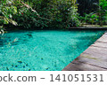 turquoise and crystalline spring pool of fresh water into Amazon rainforest. Presidente Figueiredo, Amazonas, Brazil 141051531