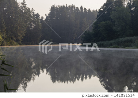 A serene morning view of a misty river flowing through a dense forest at dawn. The calm water reflects the trees, creating a peaceful, atmospheric landscape scene in the early morning light in nature. A serene morning view of a misty river flowing through a dense forest at dawn. The calm water reflects the trees, creating a peaceful, atmospheric landscape scene in the early morning light in nature. 141051534