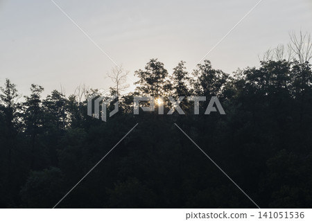 The morning sun peeks through the dense canopy of a lush forest, casting a soft, golden glow behind the silhouettes of tall trees. A peaceful and atmospheric landscape scene at the break of dawn. The morning sun peeks through the dense canopy of a lush forest, casting a soft, golden glow behind the silhouettes of tall trees. A peaceful and atmospheric landscape scene at the break of dawn. 141051536