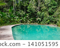 beautiful crystal clear natural pool in Presidente Figueiredo, Amazonas, Brazil 141051595