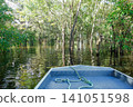 sailing through flooded forests of Brazilian Amazon rainforest. 141051598