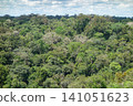 immensity of lush Amazon rainforest in north of Brazil, in a sunny day. Amazonas state 141051623