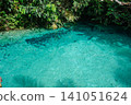 beautiful crystal clear natural pool in Presidente Figueiredo, Amazonas, Brazil 141051624