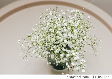 Gypsophila flowers arranged in a glass vase on a round table indoors Gypsophila flowers arranged in a glass vase on a round table indoors 141051656