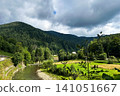 Scenic river flowing through green valley surrounded by mountains on a cloudy day 141051667