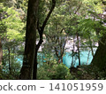 透過樹木可以看到一個藍色的池塘。 141051959
