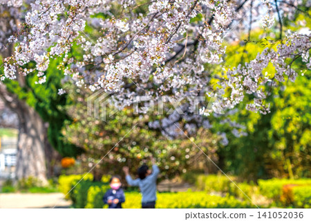 Along Shin-Musashisakai Street Along Shin-Musashisakai Street 141052036