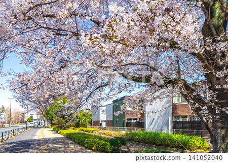 Along Shin-Musashisakai Street Along Shin-Musashisakai Street 141052040