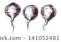 Beetroot sketches drawn with ink and pen in engraving style. Hand drawn vegetable icons for food menu or healthy diet design. Organic harvest illustration set on white background. 141052481
