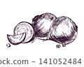 Beetroot drawn in hand-drawn ink and pen engraving style. Fresh vegetable illustration with whole and sliced beet. Organic food ingredient for menu design and culinary concept art. 141052484