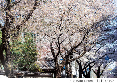 Kannon-in Kannon-in 141052492