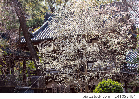 Kannon-in Kannon-in 141052494