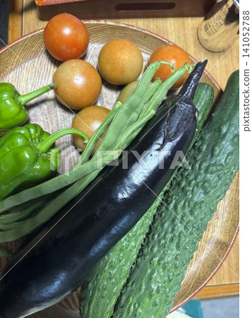 夏季蔬菜收穫 141052788