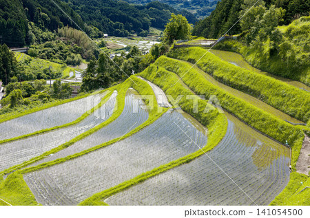 奈良縣飛鳥村：上層梯田 141054500