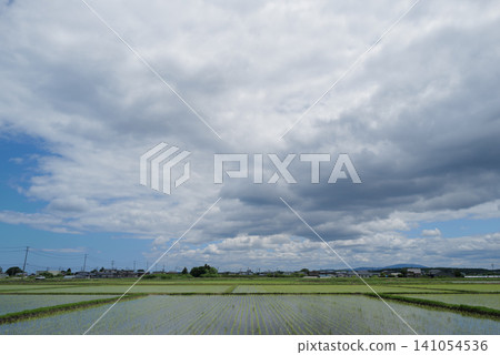Rice paddies immediately after planting, spread out under the cloudy sky of early summer: A beautiful rural landscape of Japan and copy space 141054536