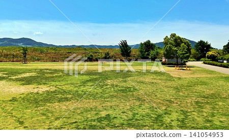 A vast park under a blue sky and lush greenery in early summer. A vast park under a blue sky and lush greenery in early summer. 141054953