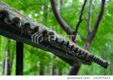 Details of a bamboo roof after the rain Details of a bamboo roof after the rain 141055023
