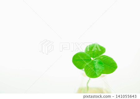 A four-leaf clover in a single-flower vase A four-leaf clover in a single-flower vase 141055643
