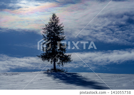 Hokkaido's Biei and Furano: A breathtaking winter scene of a single tree standing amidst a snowfield, with iridescent clouds spreading across the landscape. (Tourist attraction) Hokkaido's Biei and Furano: A breathtaking winter scene of a single tree standing amidst a snowfield, with iridescent clouds spreading across the landscape. (Tourist attraction) 141055738