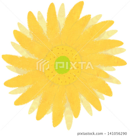 Flower Flower 141056290